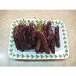 5ft 'Giant Fruit' Mulberry Tree | Half-Standard| 12L Pot | By Frank P Matthews™