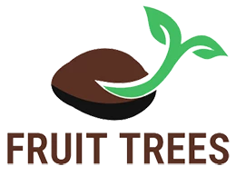 Cheap Fruit Trees Store